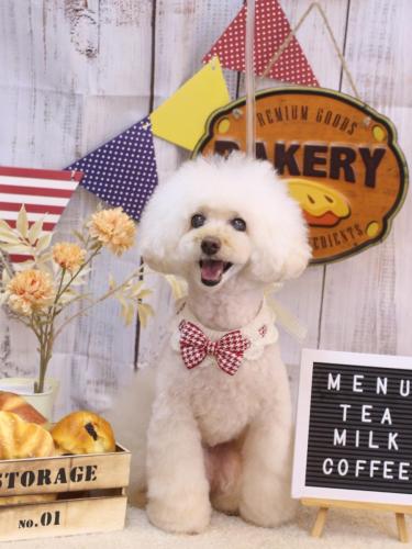 20240918ピッピちゃん